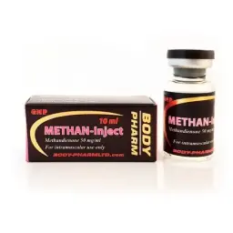 Methan-Inject