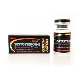 Testosteron-E